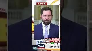 New York's Controversial Move: Illegal Immigrants and Taxpayer Funds