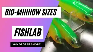 FishLab Bio-Minnow | Size Range | NEW Fire Tiger Color | #shorts