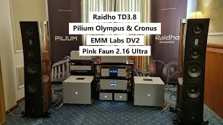 Raidho TD3.8, Pilium Cronus, Pilium Olympus, EMM Labs DV2, Pink Faun 2.16 Ultra, Dyrholm
