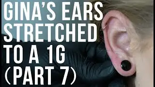 Watch Gina Get Her Ears Stretched to a 1G (Part 7) | UrbanBodyJewelry.com