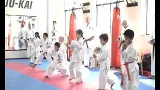 Brian Mackie GojuKai Karate 1