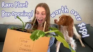 Surprise Plant Unboxing | My Favorite Subscription Box Yet, Worth Over $150!