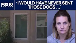 April McLaughlin sentenced to 3.5 years in animal cruelty case | FOX 10 Phoenix