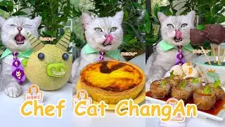 &ldquo;Chef Cat ChangAn&rdquo; Yummy Recipes In JUNE😽(ASMR)  | Easy Food Recipes | Cat Cooking-TikToks