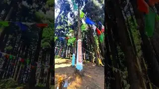 Lava view point