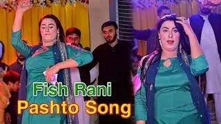 Salgai Salgai ! Fish Rani Dance Performance ! Pashtoo Song ! Punjab Studio Official