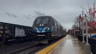 [AMTK 301] Railfanning Albany, OR on a Cold, Rainy day (11/1/25)
