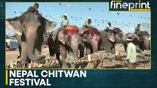 Elephant Festival Kicks Off In Chitwan, Nepal | WION Fineprint | World News