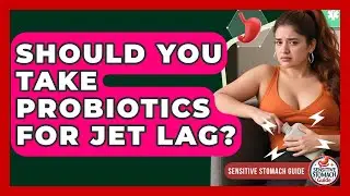 Should You Take Probiotics For Jet Lag? - Sensitive Stomach Guide