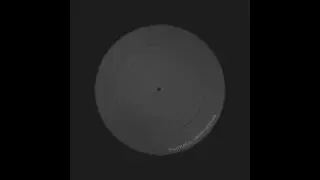Pierpaolo Lucarelli - Quarantine
