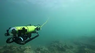 The Aquabotix Endura