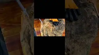 老宣威火腿翻車！黴醬味濃烈！#火腿  #food  #吃货推荐官
