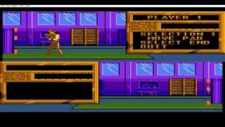 NES   Best of the Best   Championship Karate ( Test ) x5 speed