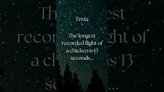 Chickens Can Fly | Fun Animal Fact #trivia #facts #quotes #youtubeshorts #motivation #astrology