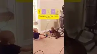 Cute BABY Clips pt1 🤣😍🤣