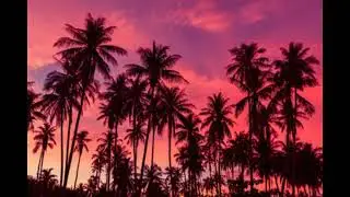 Deep Progressive House ~ The Best Of Den Macklin