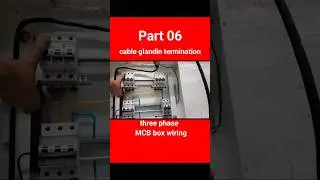Wiring a 4-Way MCB - TPN MCB Explained #electricalmanoj #electrical #cable