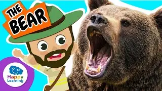 🐻 THE BEAR: Fun Facts and Info! | Educational Videos for Children | @HappyLearningENG