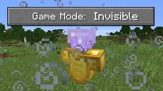 Beating Minecraft, but Mobs are Invisible...