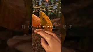 November | Autumn | Cosy | #logfire #hyggelife #cosyvlog #simpleliving
