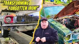 The Crustang! A 1965 Mustang was forgotten in a grove for 40+ years! Saving/reviving a classic car!