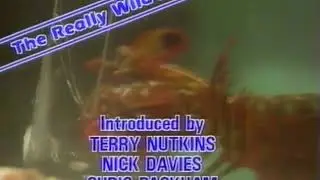 The really wild show closing titles 1989