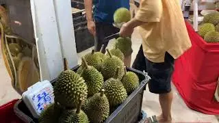 Durian season is back!! 阿公的榴莲  🥰🙌😎👍🎶 totally spoilt for choice someone is craving for durians💕