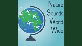 Tropical Harmony