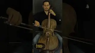 Violoncelo 4/4 Rolim Milor Envelhecido Fosco Loja Sopro Divino Musical - Whats (11) 94970-8565