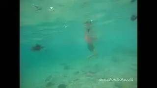 Snorkeling in Pulau Weh : Rubiah Sea Garden