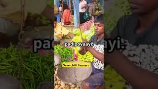 #save Red chilli farmers