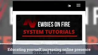 Newbies on Fire A system that works!