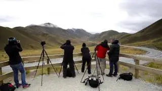 New Zealand Photo Tour Highlights 2014