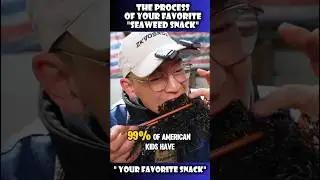 How Your Favorite Seaweed Snack Is Made | Seaweed Farming to Packaging Process Explained #shorts