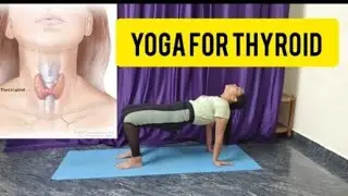 Simple Yoga Asanas For Thyroid Gland 🧘#YogaForThyroid #YogaForHealth #HealingYoga #YogaForHormones