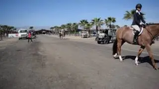 The Desert Show Experience