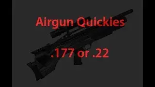 Airgun Quickies - Which is best 177 or 22