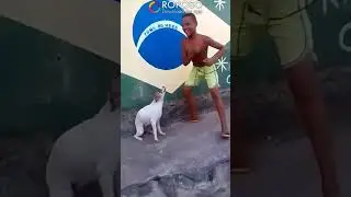 Roposo funny video
