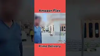 Amazon Flex Prime Delivery In India #amazon #flex #prime #shorts #delivery