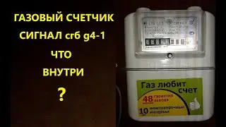Разбор Газовый счетчик СИГНАЛ СГБ G4-1. Смотрим что внутри