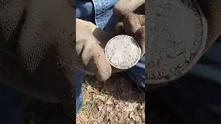 #metaldetecting and my buddy Dave found his first #1890s Morgan #silverdollar 😍.  #treasurehunting