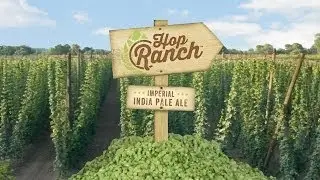 Victory Hop Ranch Imperial IPA