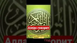 Аллах говорит #shorts #хадис #hadith #аллах #islam #хадисы