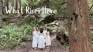 What Rises Here