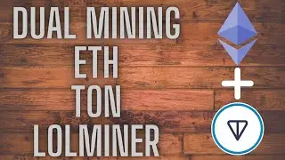 Dual Mining Eth and Ton |  HiveOS | LOLminer | Profitability