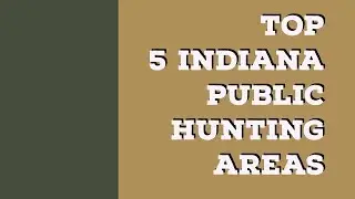 Top 5 Indiana Public Hunting Areas