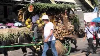 Tinagba Festival 2016 Parade Highlights - Iriga City, Philippines