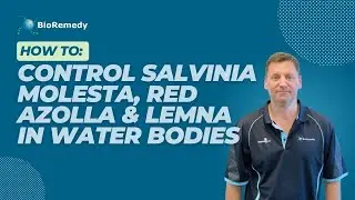 Water Treatment: WaterClear