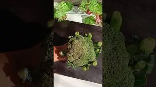 Crispy Broccoli 🥦 Lollipop Ultimate Tea Time Snack Recipe 😋#shorts #broccolilollipop