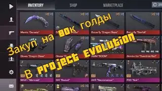 Самый лучший закуп на 80 к голды в Project Evolution! Обзор моего инвентаря в Project Evolution!